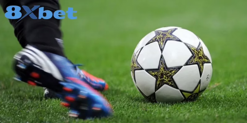 Cược rung mang đến cho bạn nhiều cơ hội hấp dẫn